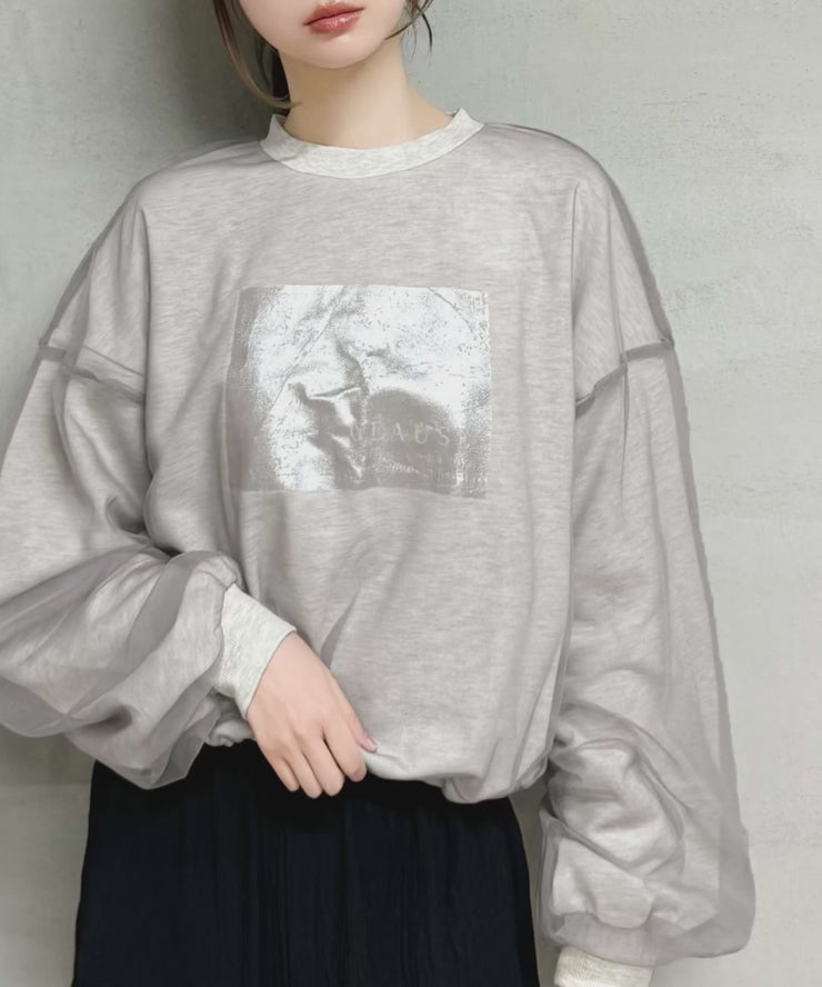 新品、未使用、タグ付きウィルフリーチュールスウェット 6388da4867584b46b62cc6d53e3411